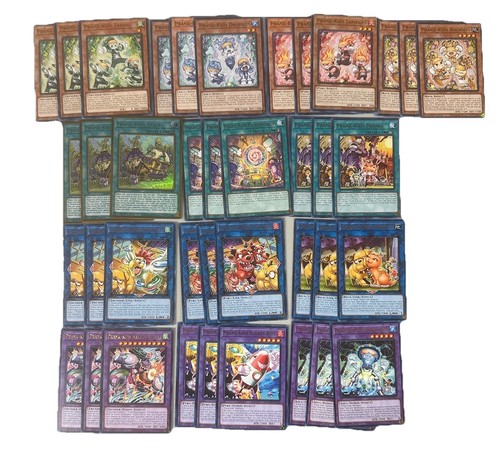 Prank kids deck - kids, place